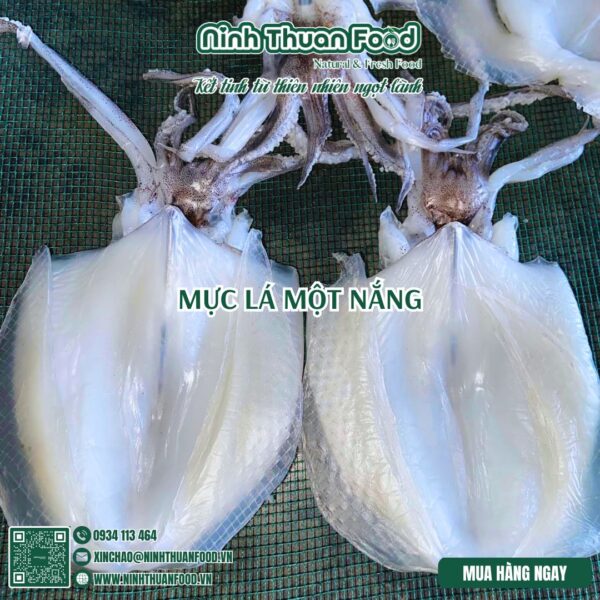 Đặc sản khô mực một nắng Phan Rang Ninh Thuận chất lượng 100%